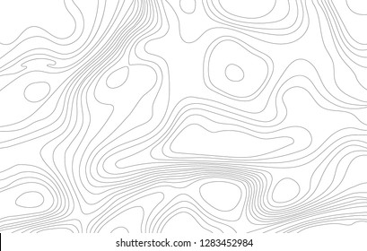 Abstract Outline Contour Map Lines Vector Stock Vector (Royalty Free ...