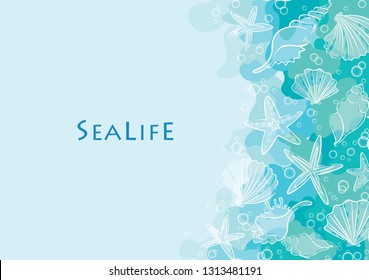 Abstract outline starfish and seashell on ocean blue free form shape background vector for decoration on summer beach party events. 