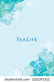 Abstract outline starfish and seashell on ocean blue free form shape background vector for decoration on summer beach party events. 