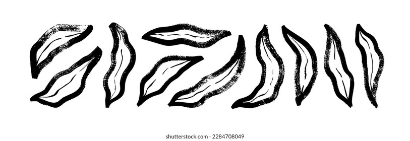 Abstract outlined banana leaves collection. Brush drawn simple tropical leaves isolated on white background. Black thick lines. Modern botanical exotic elements. Hand drawn foliage.