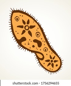 Abstract oval shape tiny protist amoeba organelle pellicle parasite element. Line black hand drawn lab microbe icon sign symbol pictogram diagram sketch Art doodle cartoon style design. Closeup view