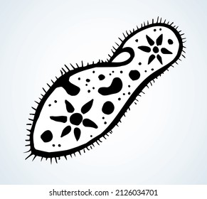 Abstract oval shape tiny protist amoeba organelle pellicle parasite element. Line black hand drawn lab microbe icon sign symbol pictogram diagram sketch Art doodle cartoon style design. Closeup view