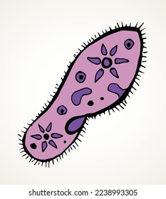 Abstract oval shape tiny protist amoeba organelle pellicle parasite element. Line black hand drawn lab microbe icon sign symbol pictogram diagram sketch Art doodle cartoon style design. Closeup view