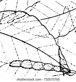Abstract overlay easy to apply black and white leaf pattern. Vector illustration