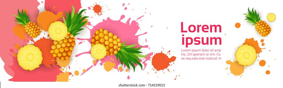 Abstract Paint Splash And Fruits Pineapple Set Over White Background For Copy Space And Text Flat Vector Illustration