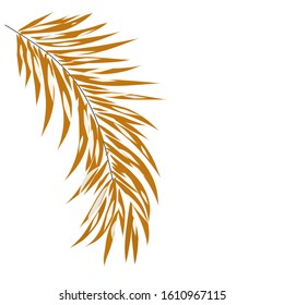 Abstract Palm Leaf Illustration For Backgroun