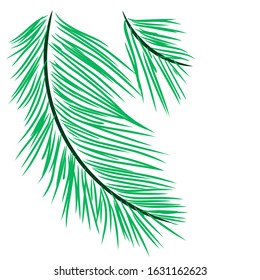 Abstract palm leaf isolated on white background vector illustration