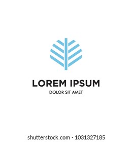 an abstract palm leaf logo icon vector