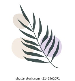 Abstract palm leaf minimalist boho style, plant for postcard, botanical wall print, wallpaper, cover, vector illustration