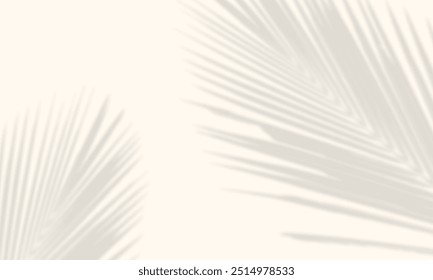  abstract palm leaf shadow overlay for banner poster design isolated suitable for beauty product display,beauty background
