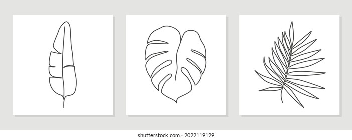 Abstract palm leaves and monstera leaves drawn by one line. Outline drawing. The art of minimalism. Suitable for home decor, posters, wall art, prints, stickers, mobile phone cases. Vector .