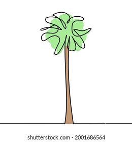 Abstract palm tree as line drawing on the white background. Vector