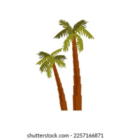 Abstract palm tree. Vector illustration of minimalist palm tree. Cartoon minimal tree isolated on white background. Geometry, city concept