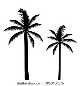 Abstract Palm Trees Vector Illustration, Black and White