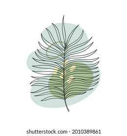 Resumen Ilustración botánica del vector de la palma. Follaje boho con forma abstracta. Clíparte de hojas de palma trópicas.