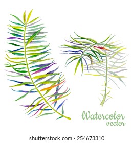 Abstract palm watercolor palm leaf. Palm background. 