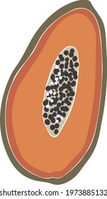 Abstract papaya fruit vector, summer fruit illustration, boho papaya vector