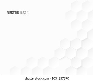 Abstract paper Hexagon white Background ,light and shadow ,Vector