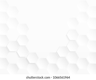 Abstract paper Hexagon white Background ,light and shadow ,Vector