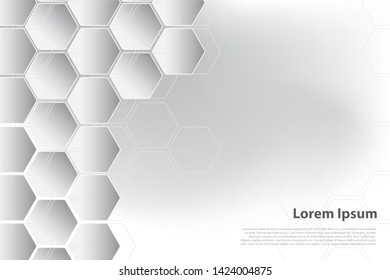Abstract paper Hexagon white background  pattern with copy space. Premium Vector