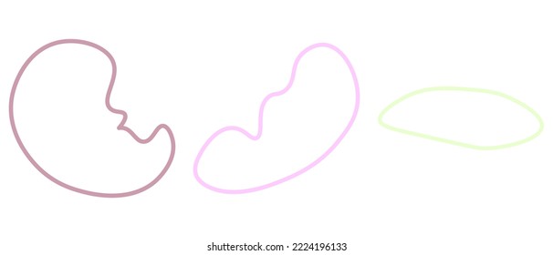 Abstract pastel shape line. Vector illustration.