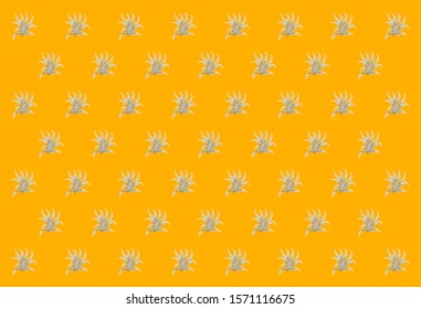 abstract pattern background similar a bush or plants