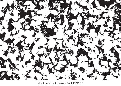 Abstract pattern of black and white grunge texture. Vector illustration