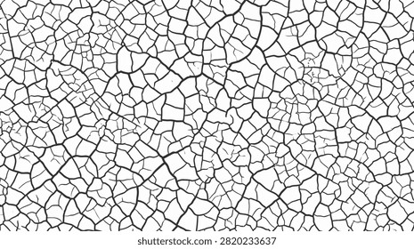 Abstract pattern of dry cracked earth, natural texture, black and white.