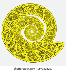 abstract pattern, fractal, mandala of multicolored flower fragments, isolated image on a white background.