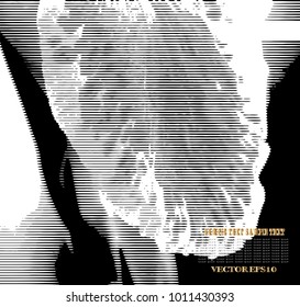 Abstract pattern line background,EPS10