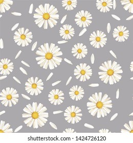 Abstract pattern with lines. Vector, fabric seamless background with hand drawn elements. White daisies. daisy, flower, pink, leave