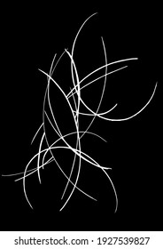 Abstraktes Muster von Rundkurven, die Äste von Bäumen im Busch oder Wald ähneln. Originelle moderne Vektorgrafik. Minimales Grafikdesign. Geometrischer Hintergrund. Dynamische Komposition gekrümmter Wege.