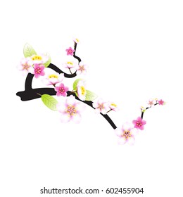 The abstract pattern of  the sakura flowers branch, fabric print, cloth texture, for background, vector illustration