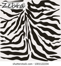 Abstract pattern skin or fur animal, camouflage skin of Zebra. Vector illustration.