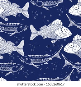 Abstract pattern, sturgeon or beluga fish, ruff in black and white. isolated illustration on blue, fish day, fishing. Fish restaurant. Wild life. Manual graphics. Background for textile, wallpaper.