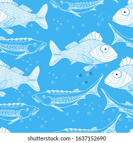 Abstract pattern, sturgeon or beluga fish, ruff in black and white. isolated illustration on blue, fish day, fishing. Fish restaurant. Wild life. Manual graphics. Background for textile, wallpaper.