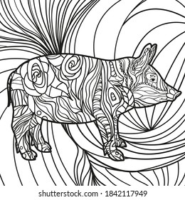 Abstract patterned pig. Hand drawn ornaments. Design for spiritual relaxation for adults. Black and white illustration