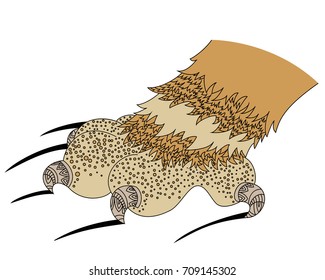 The abstract paw of the cat Zen Tangle. Pawprint with claws. Colouring book vector illustration.
