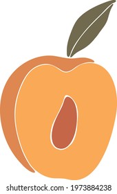Abstract peach fruit vector, summer fruit illustration, boho peach vector