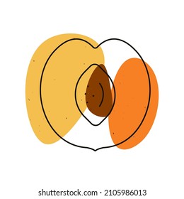 Abstract peach, icon with bone. Lines silhouette of sweet, tasty fruit. Minimalistic, modern picture for design decoration. Isolated peach with spot on white. Black lines with stain, blot. Vector