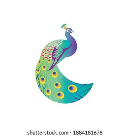 abstract peacock bird decorative vector art for brand and identity