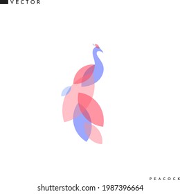 Abstract peacock. Creative bird. Isolated peacock on white background