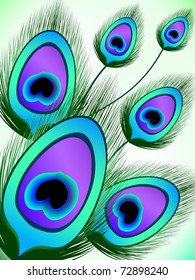 Abstract peacock feather background. Peacock tail on a white background. Turquoise beautiful bird feather.