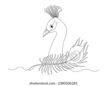 Abstract peacock and its feather, continuous single line art drawing