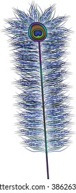 Abstract peacock feather isolated on transparent background, vector illustration