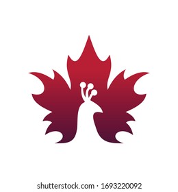 Abstract Peacock Logo Design Template