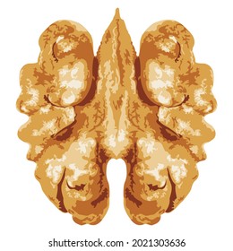 Abstract peeled walnut design, healthy food illustration.