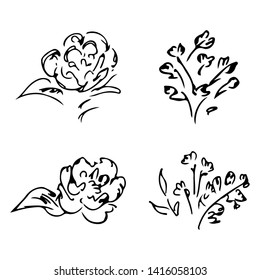 Abstract peonies and roses isolated on white background. Hand drawn floral collection. 4 floral graphic elements. Big vector set. Outline icons