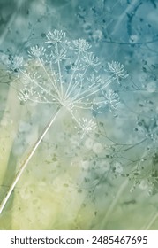 abstract photo of twigs of potted plants background, pattern, abstract, texture, design, nature, tree, landscape, forest, white, black, color, wallpaper, cute, world, plant, park, vacation, fall, natu