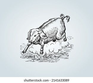 Abstract pig with shading techniques for illustration